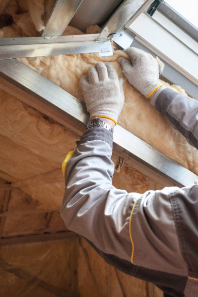 Best Cellulose Insulation in Sparta, WI
